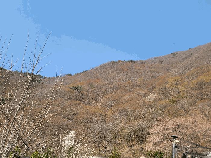 양산시 원동면 선리 대지 경매 물건 사진