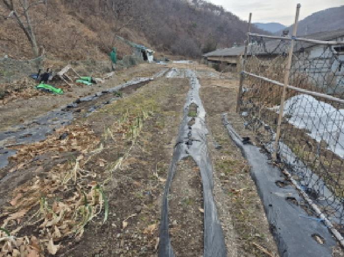북구 산하동 191 전답 경매 물건 사진