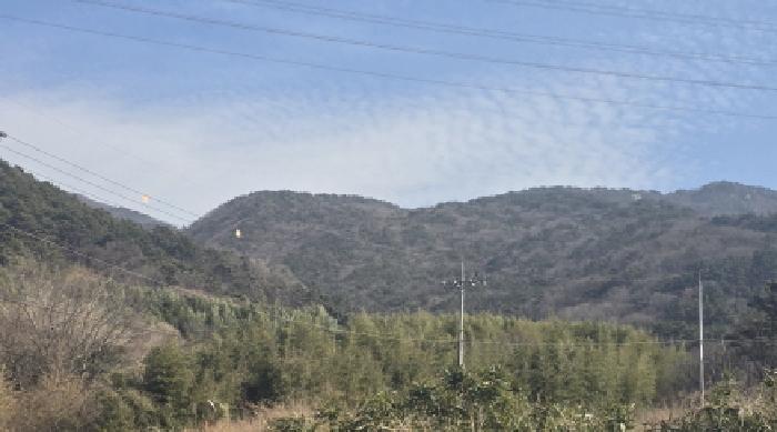 양산시 동면 금산리 임야 경매 물건 사진