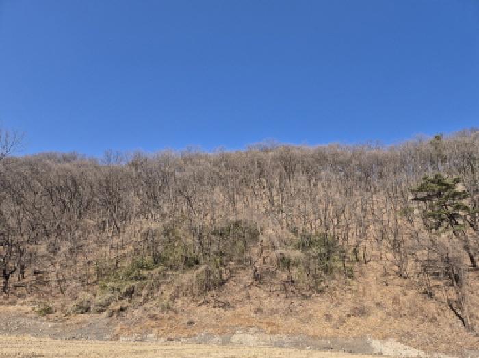 북구 대안동 산329 임야 경매 물건 사진