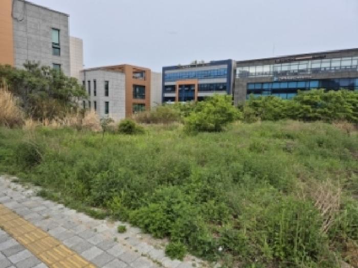 중구 서동 602-3 대지,임야,전답 경매 물건 사진