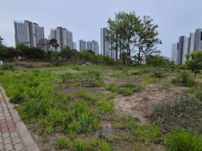 북구 산하동 988-7 대지,임야,전답 경매 물건 사진