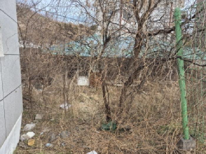 북구 당사동 520-6 단독주택다가구 경매 물건 사진