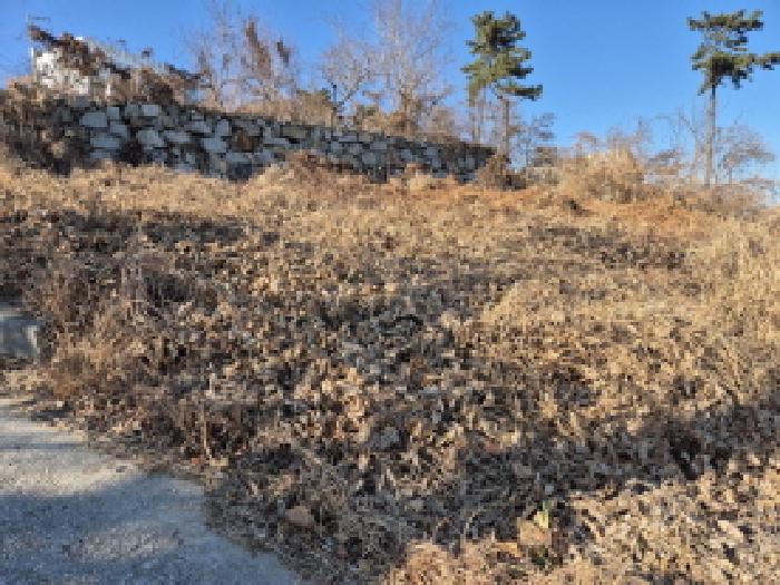 울주군 서생면 대송리 임야 경매 물건 사진