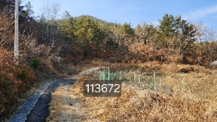 기장군 장안읍 용소리 임야 경매 물건 사진
