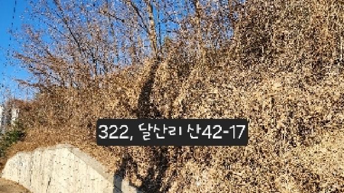 기장군 정관읍 달산리 임야 경매 물건 사진