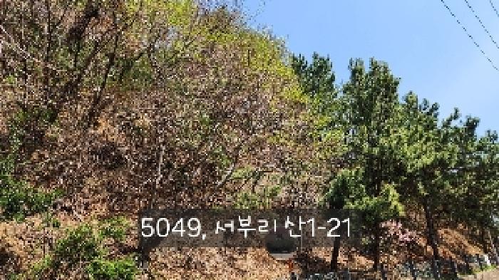 기장군 기장읍 서부리 임야 경매 물건 사진