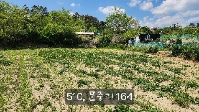기장군 일광읍 문중리 답 경매 물건 사진