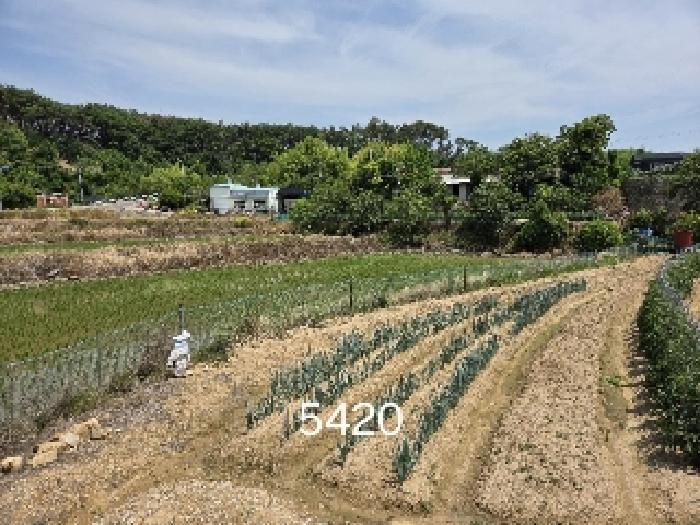 기장군 일광읍 청광리 전답 경매 물건 사진