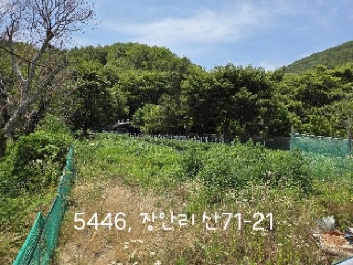 기장군 장안읍 장안리 잡종지 경매 물건 사진