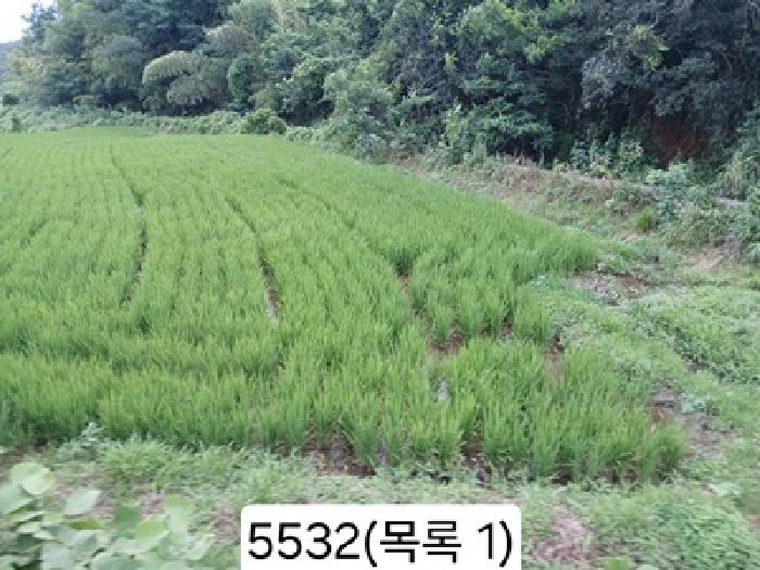 기장군 일광읍 원리 답 경매 물건 사진
