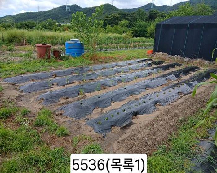 기장군 정관읍 월평리 전답 경매 물건 사진
