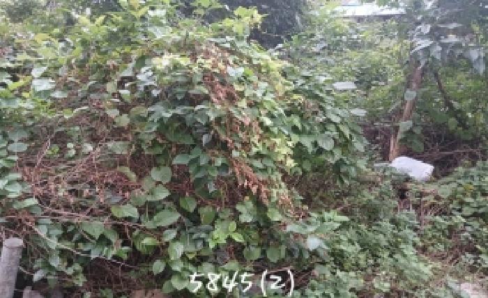 해운대구 우동 554-6 대지 경매 물건 사진