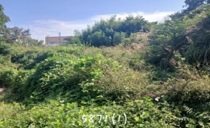 기장군 일광읍 삼성리 대지,임야,전답 경매 물건 사진