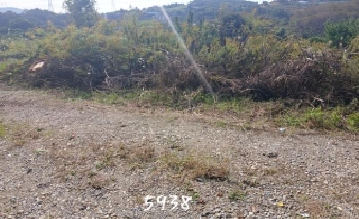 기장군 장안읍 오리 임야 경매 물건 사진