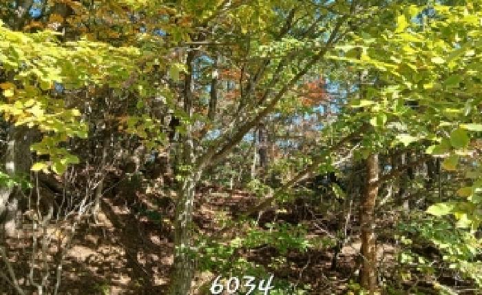 기장군 일광읍 칠암리 임야 경매 물건 사진