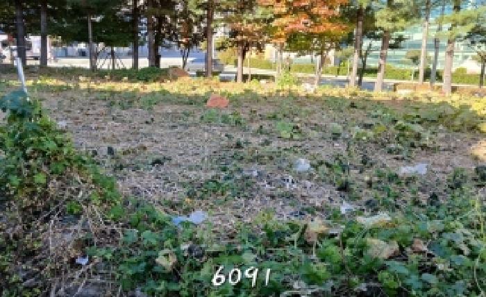 기장군 정관읍 매학리 대지 경매 물건 사진