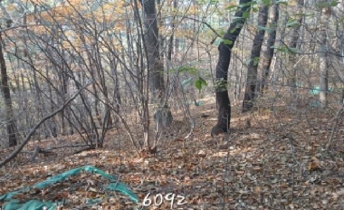 기장군 철마면 고촌리 대지,임야,전답 경매 물건 사진