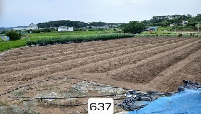 기장군 일광읍 문중리 답 경매 물건 사진