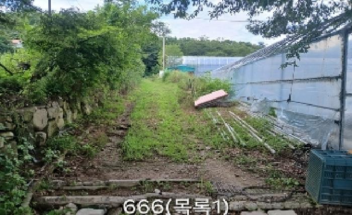 기장군 철마면 웅천리 임야 경매 물건 사진