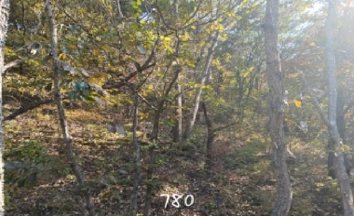 기장군 철마면 장전리 임야 경매 물건 사진