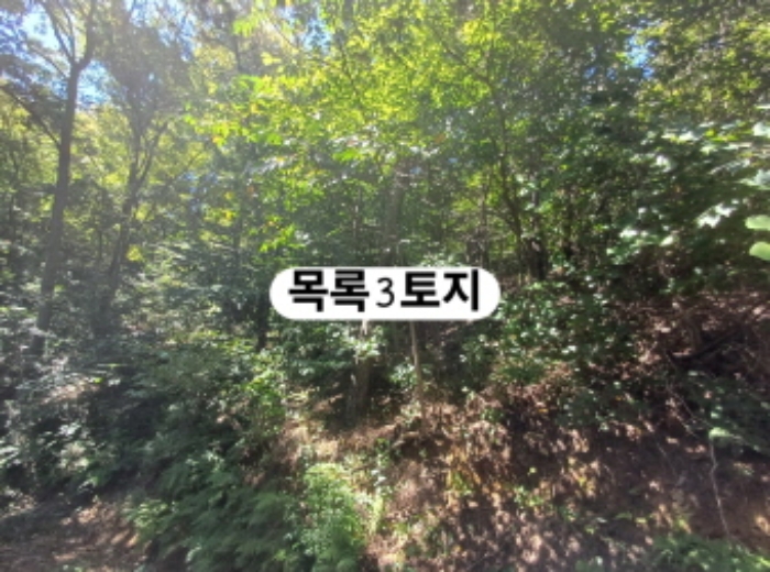 강서구 생곡동 758 전 경매 물건 사진