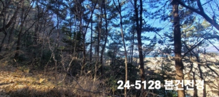 강서구 성북동 산265 임야 경매 물건 사진
