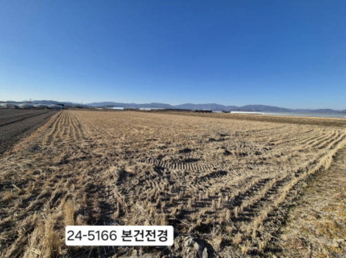 강서구 식만동 492 답 경매 물건 사진