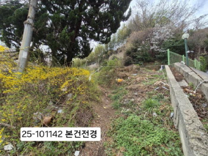 사하구 괴정동 산90-5 임야 경매 물건 사진