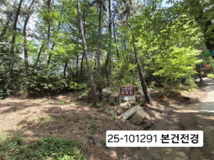 사상구 모라동 산91 임야 경매 물건 사진