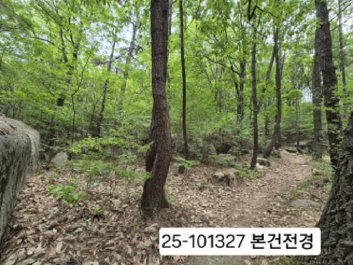 북구 금곡동 산15 임야 경매 물건 사진
