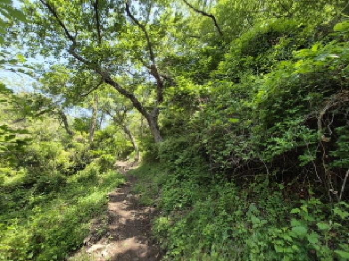 사하구 감천동 산72 임야 경매 물건 사진