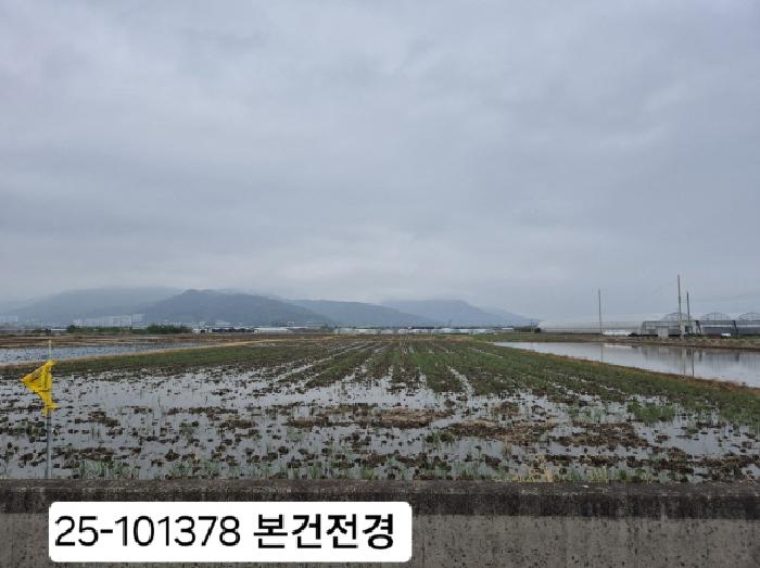 강서구 강동동 921-1 답 경매 물건 사진