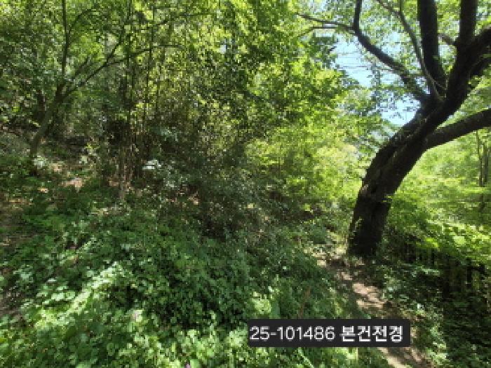 북구 덕천동 산118-1 임야 경매 물건 사진