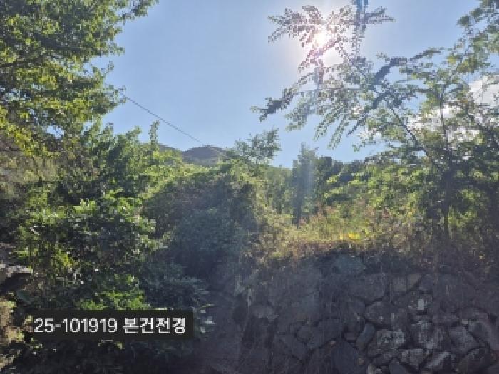강서구 성북동 산214 임야 경매 물건 사진