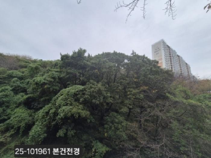 사하구 당리동 16-26 임야 경매 물건 사진