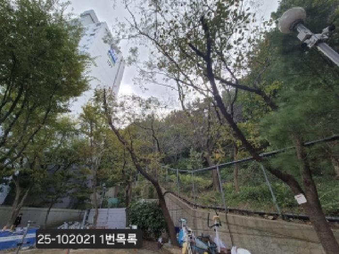사하구 하단동 298-3 임야 경매 물건 사진
