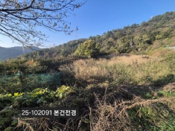 강서구 녹산동 967 전 경매 물건 사진