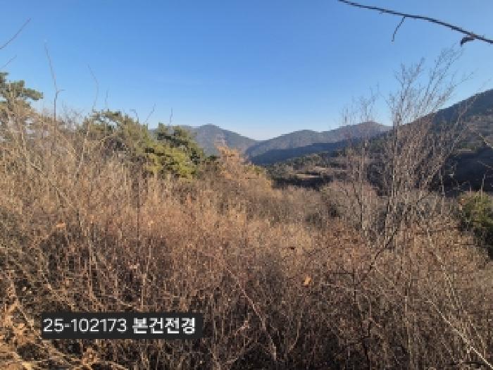 강서구 천성동 268-13 전답 경매 물건 사진