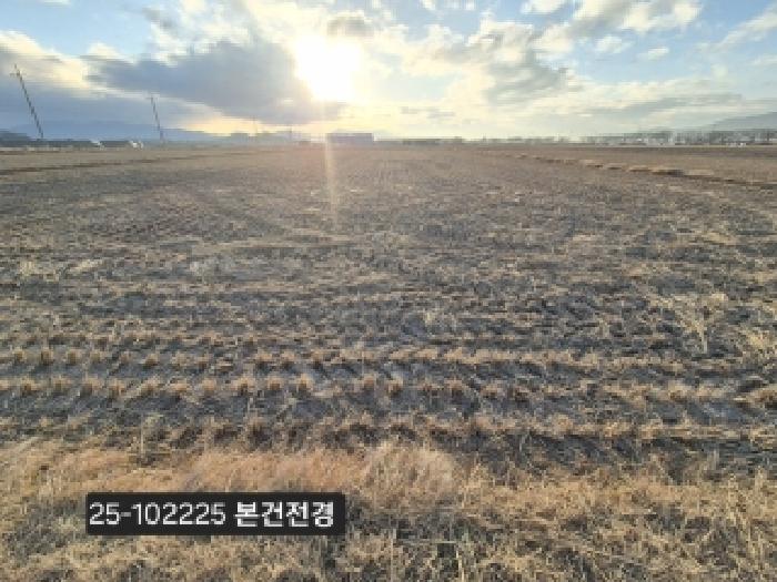 강서구 죽동동 501-2 답 경매 물건 사진