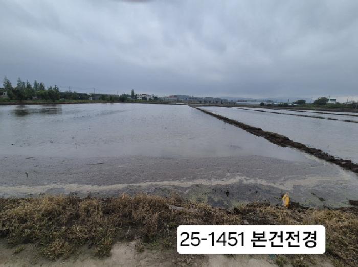 강서구 죽림동 99 답 경매 물건 사진