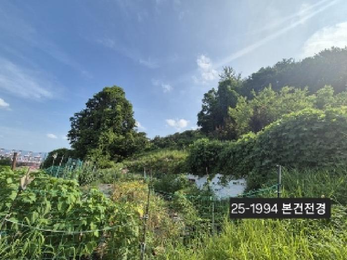 강서구 성북동 1228-2 전 경매 물건 사진