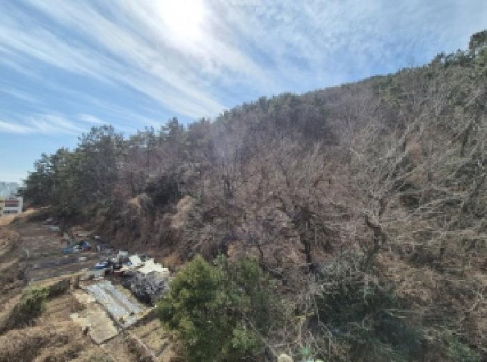 사하구 감천동 산28-10 임야 경매 물건 사진