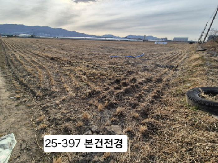 강서구 대저1동 3702-1 답 경매 물건 사진