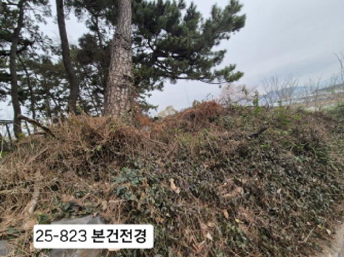 강서구 죽림동 1043 과수원 경매 물건 사진