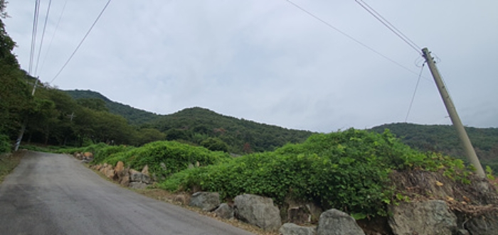 김해시 생림면 생철리 임야 경매 물건 사진