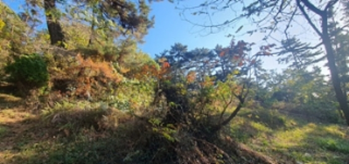 김해시 이동 산18 임야 경매 물건 사진