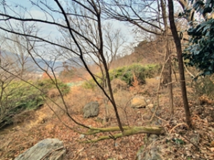 김해시 대동면 주동리 답 경매 물건 사진