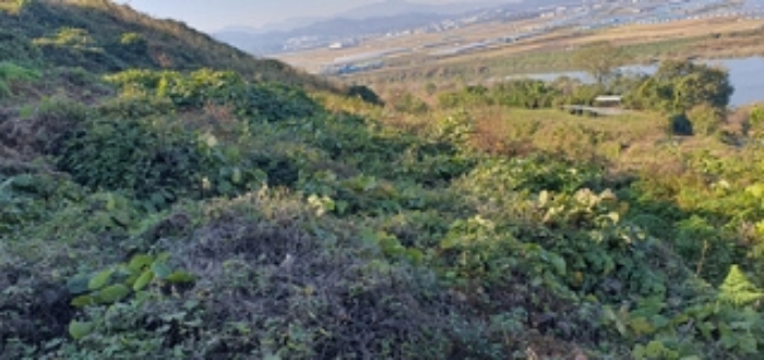 김해시 한림면 금곡리 임야 경매 물건 사진