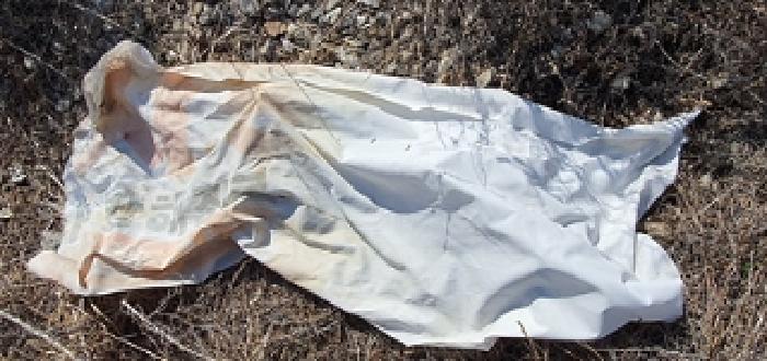 김해시 생림면 나전리 대지 경매 물건 사진
